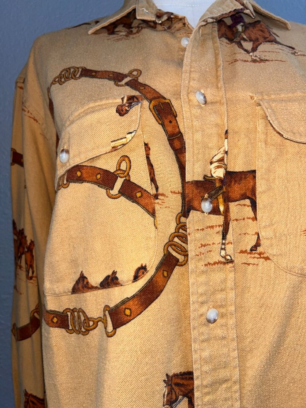 VINTAGE RALPH LAUREN POLO EQUESTRIAN HORSE COWGIRL BUTTON DOWN SHIRT BLOUSE -  8 - Picture 3 of 11